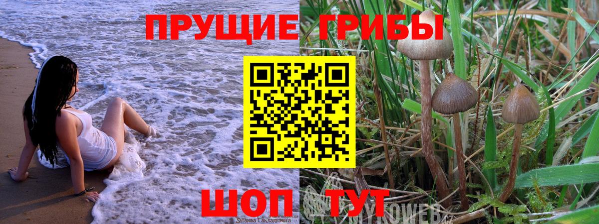 Псилоцибиновые грибы мухоморы Кубинка